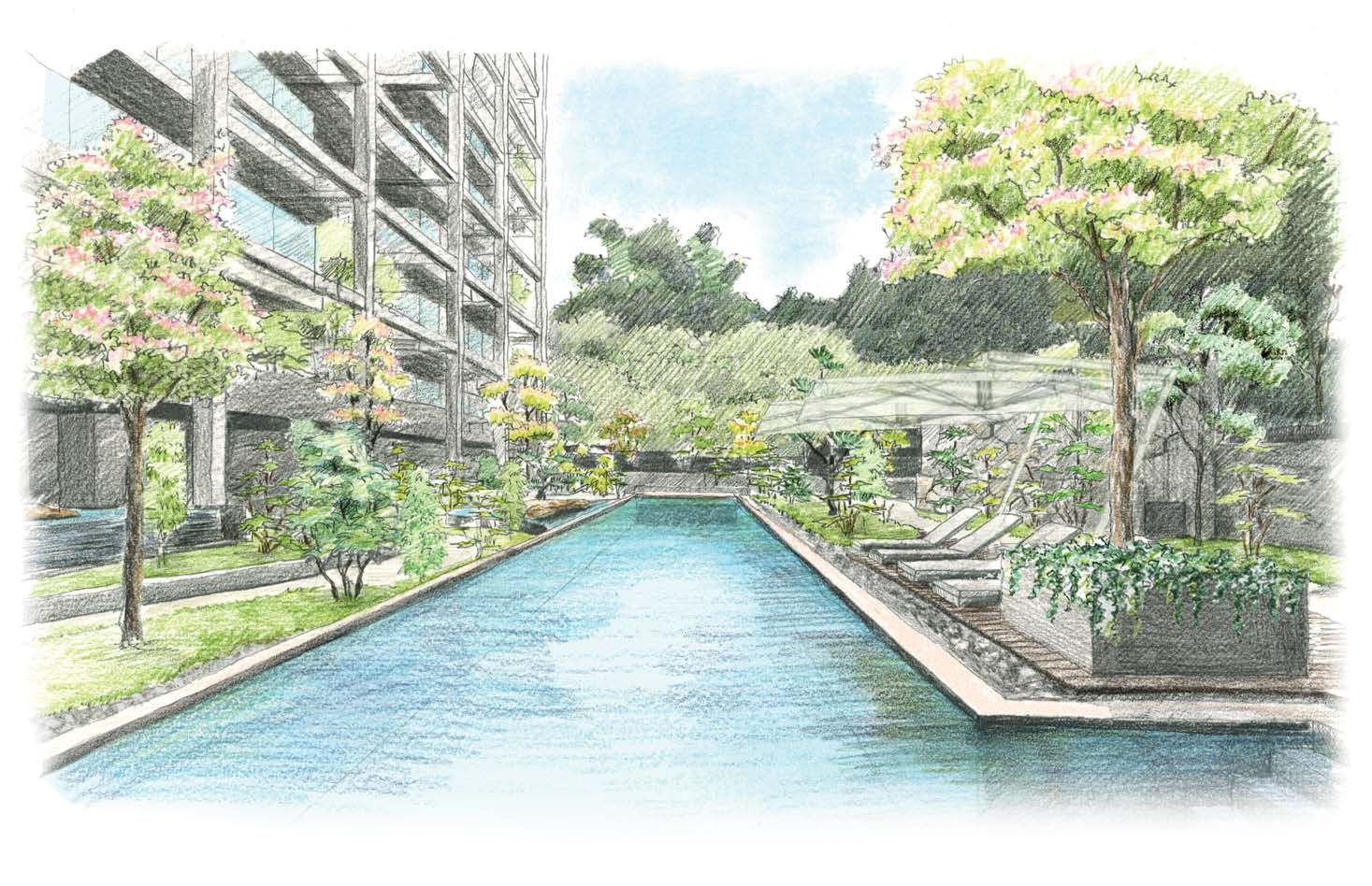 Pool and garden
